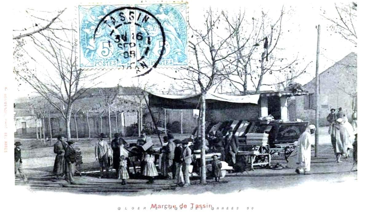 Tassin 601.jpg